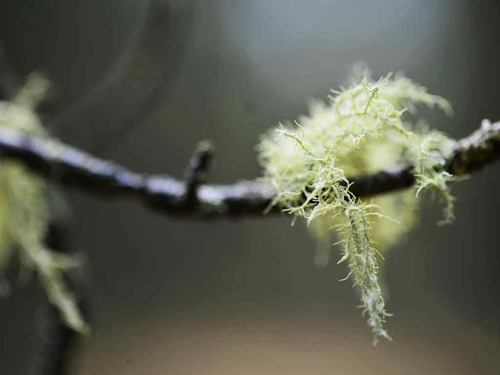 MLS® A2257267 - 336070 Highway 22 Highway W in NONE Rural Foothills County, Residential