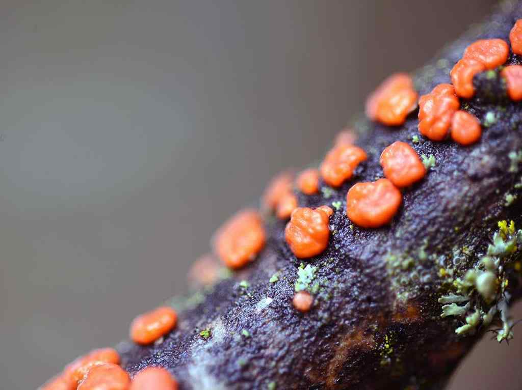 MLS® A2257267 - 336070 Highway 22 Highway W in NONE Rural Foothills County, Residential