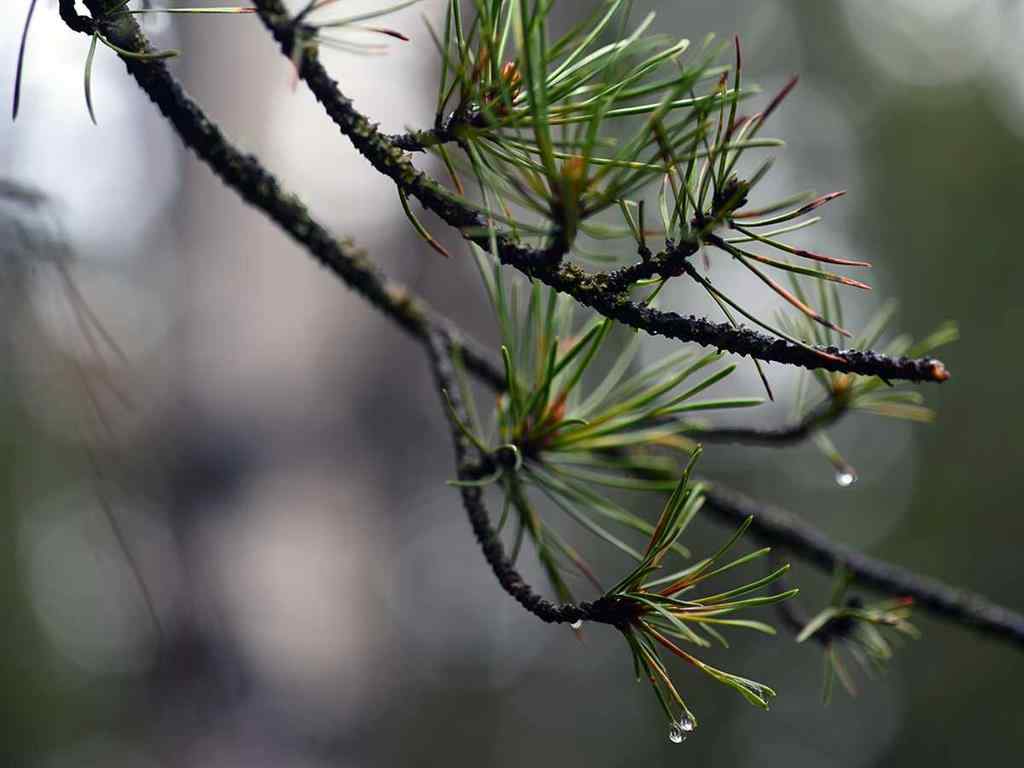 MLS® A2257267 - 336070 Highway 22 Highway W in NONE Rural Foothills County, Residential