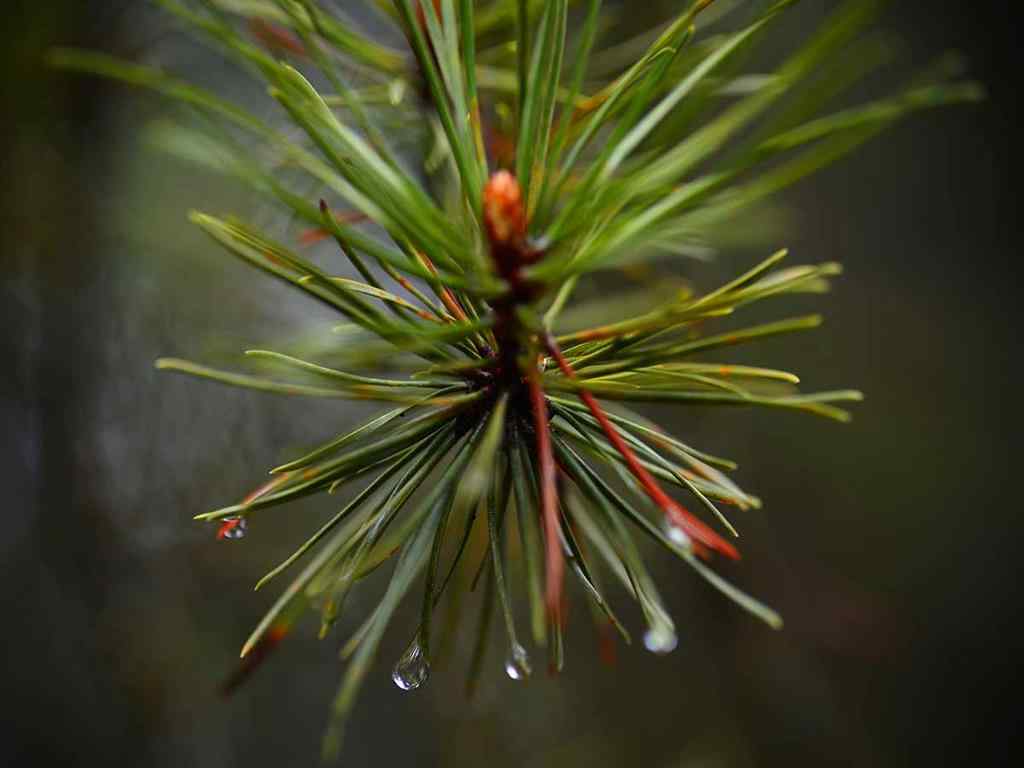 MLS® A2257267 - 336070 Highway 22 Highway W in NONE Rural Foothills County, Residential