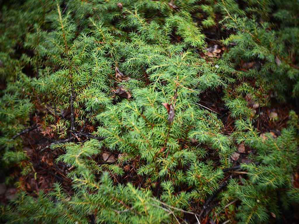 MLS® A2257267 - 336070 Highway 22 Highway W in NONE Rural Foothills County, Residential