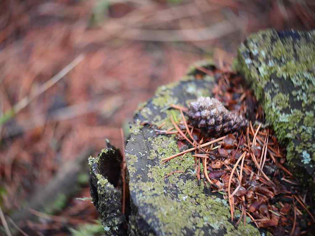 MLS® A2257267 - 336070 Highway 22 Highway W in NONE Rural Foothills County, Residential