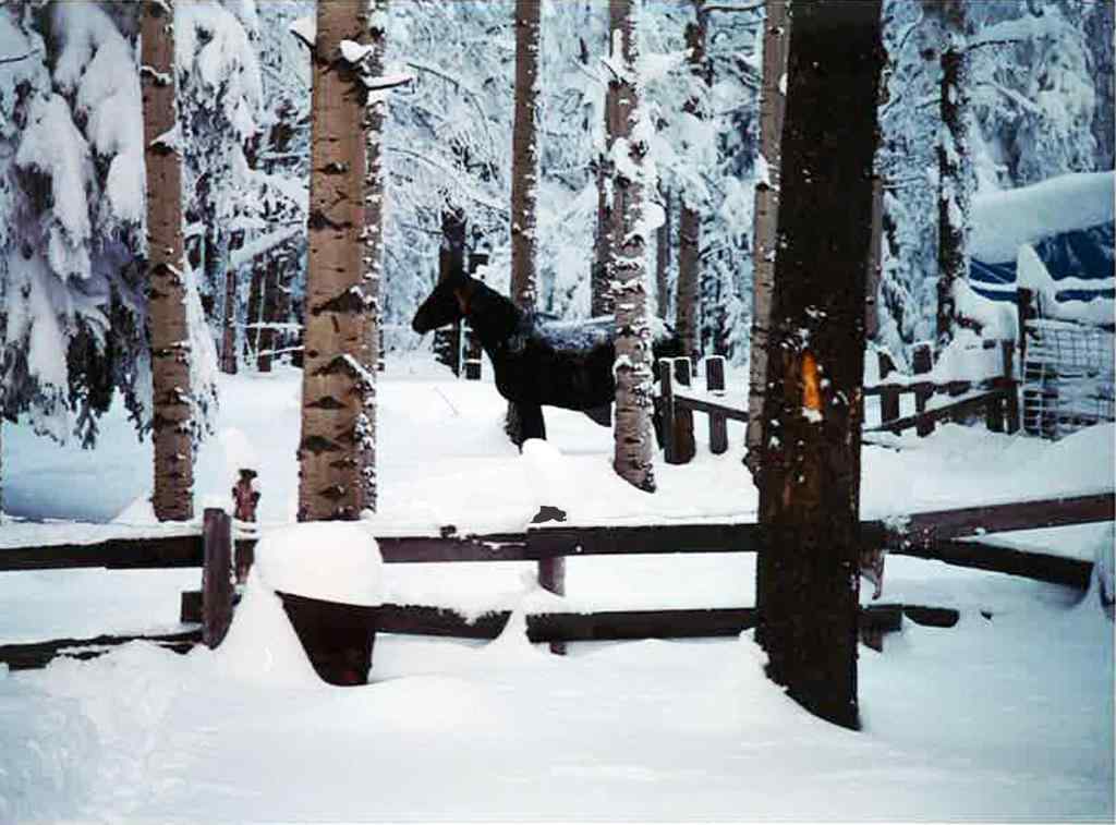 MLS® A2257267 - 336070 Highway 22 Highway W in NONE Rural Foothills County, Residential