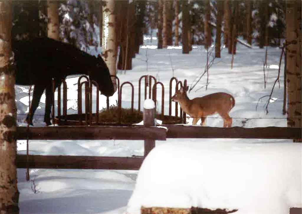 MLS® A2257267 - 336070 Highway 22 Highway W in NONE Rural Foothills County, Residential