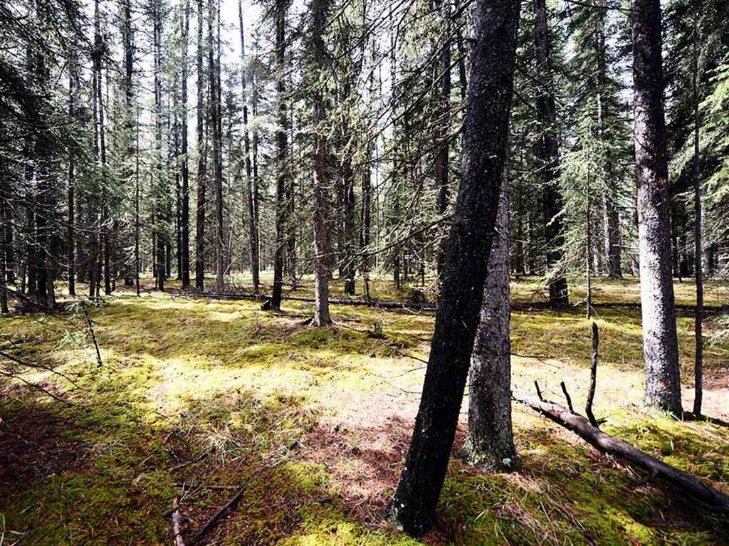 MLS® A2257267 - 336070 Highway 22 Highway W in NONE Rural Foothills County, Residential