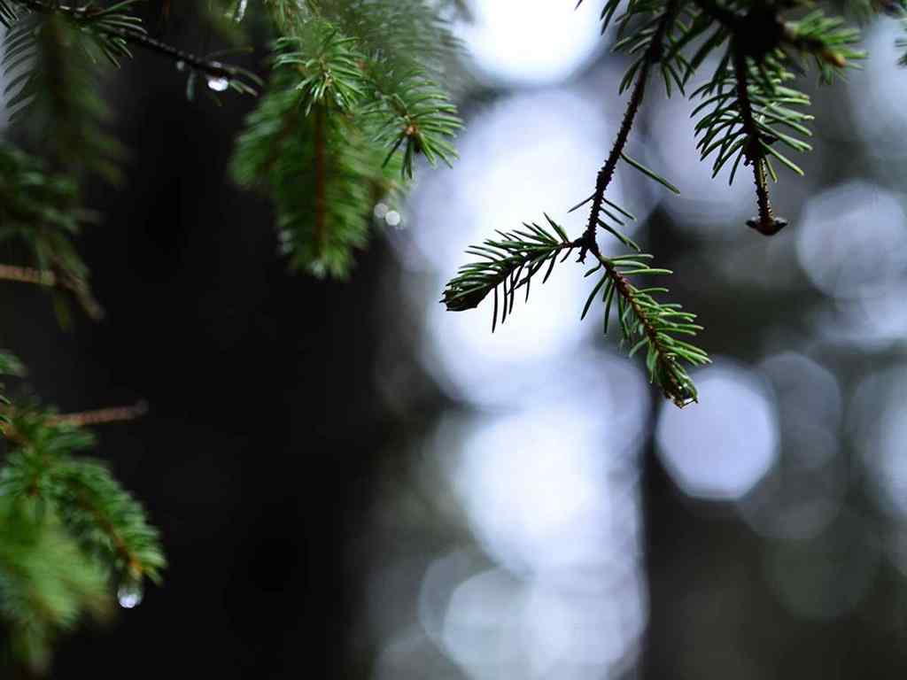 MLS® A2257267 - 336070 Highway 22 Highway W in NONE Rural Foothills County, Residential