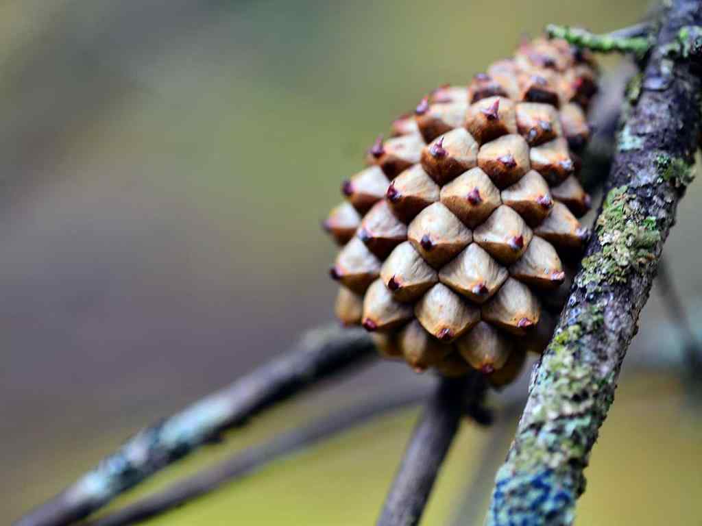 MLS® A2257267 - 336070 Highway 22 Highway W in NONE Rural Foothills County, Residential