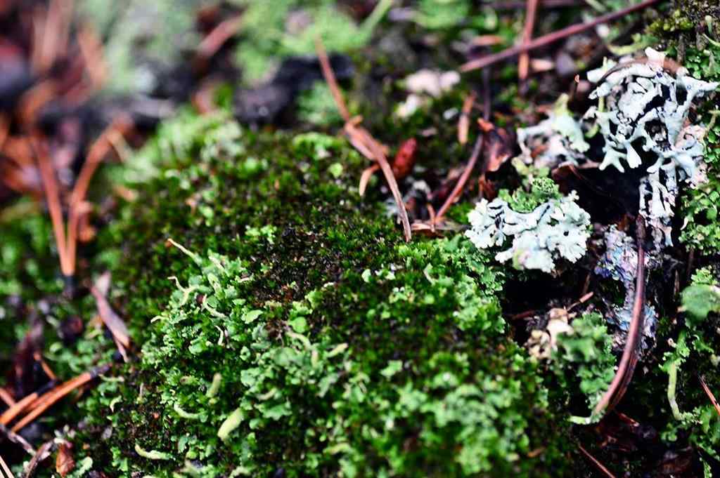 MLS® A2257267 - 336070 Highway 22 Highway W in NONE Rural Foothills County, Residential