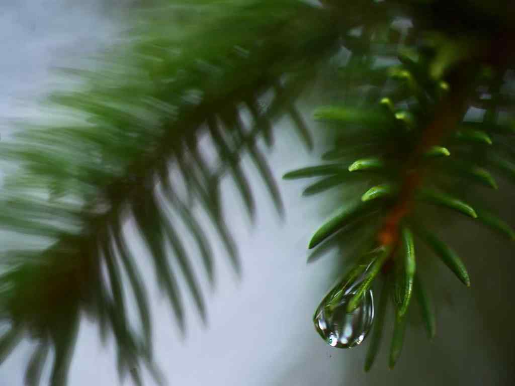 MLS® A2257267 - 336070 Highway 22 Highway W in NONE Rural Foothills County, Residential