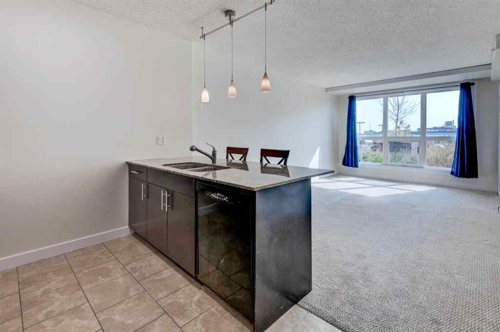 MLS® A2257376 - Unit #706 8710 Horton Road SW in Haysboro Calgary, Residential
