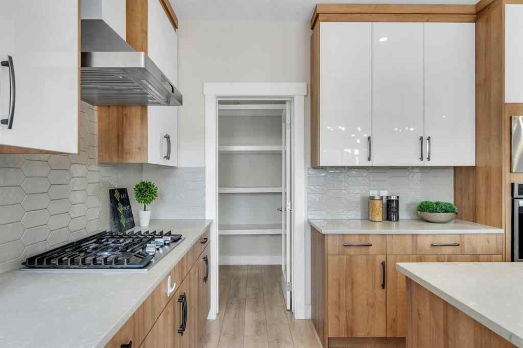 MLS® A2257396 - 229 Walgrove Terrace SE in Walden Calgary, Residential