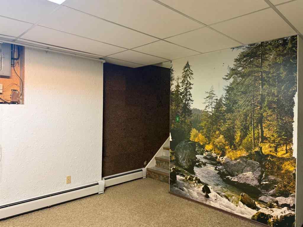 MLS® A2257454 - 4417 54 Avenue  in Vermilion Vermilion, Residential