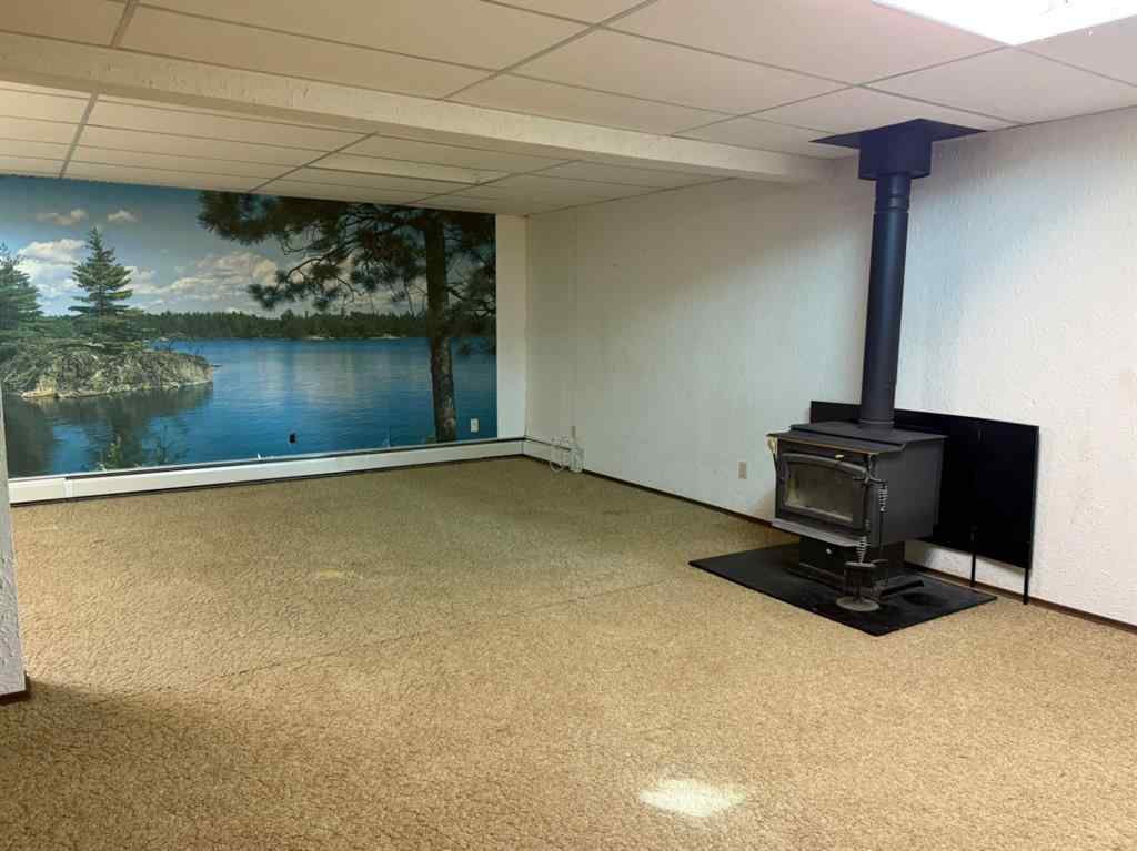 MLS® A2257454 - 4417 54 Avenue  in Vermilion Vermilion, Residential