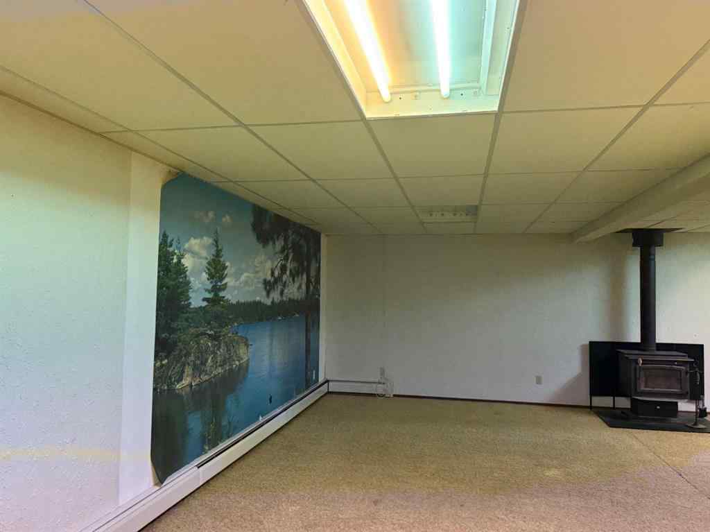 MLS® A2257454 - 4417 54 Avenue  in Vermilion Vermilion, Residential