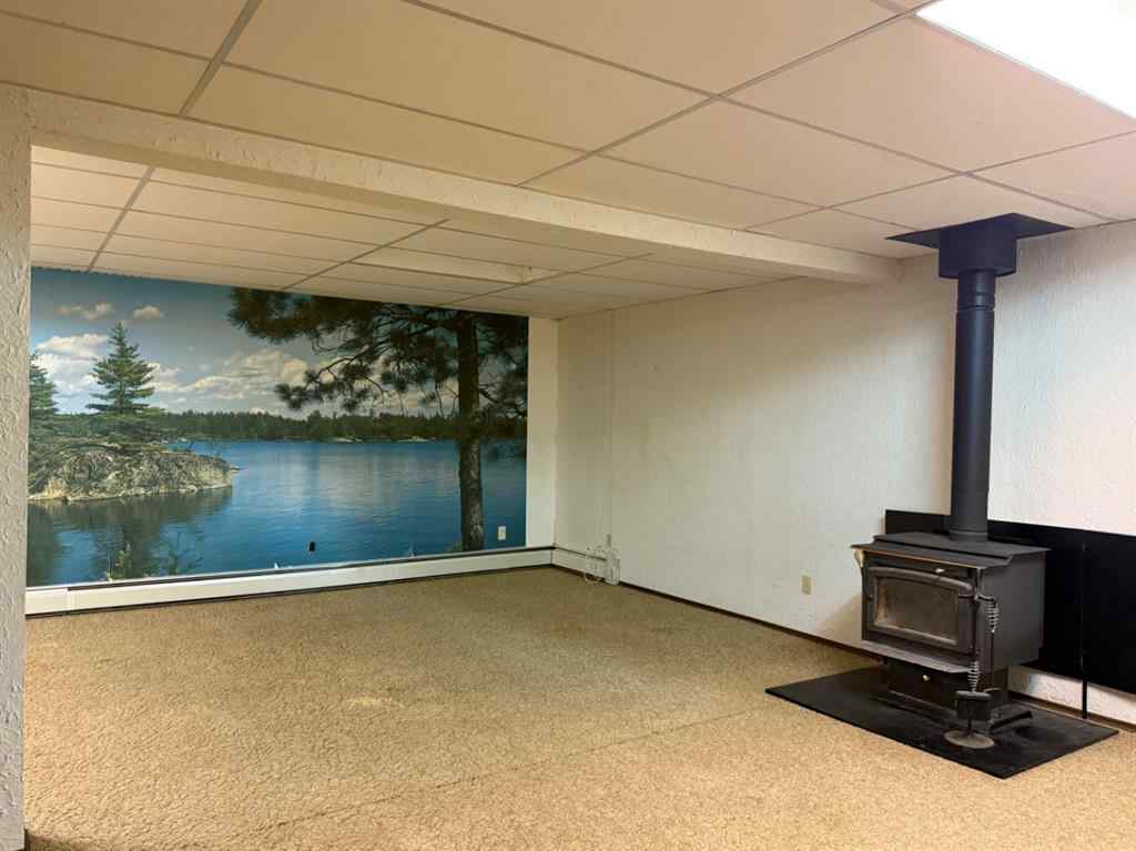 MLS® A2257454 - 4417 54 Avenue  in Vermilion Vermilion, Residential
