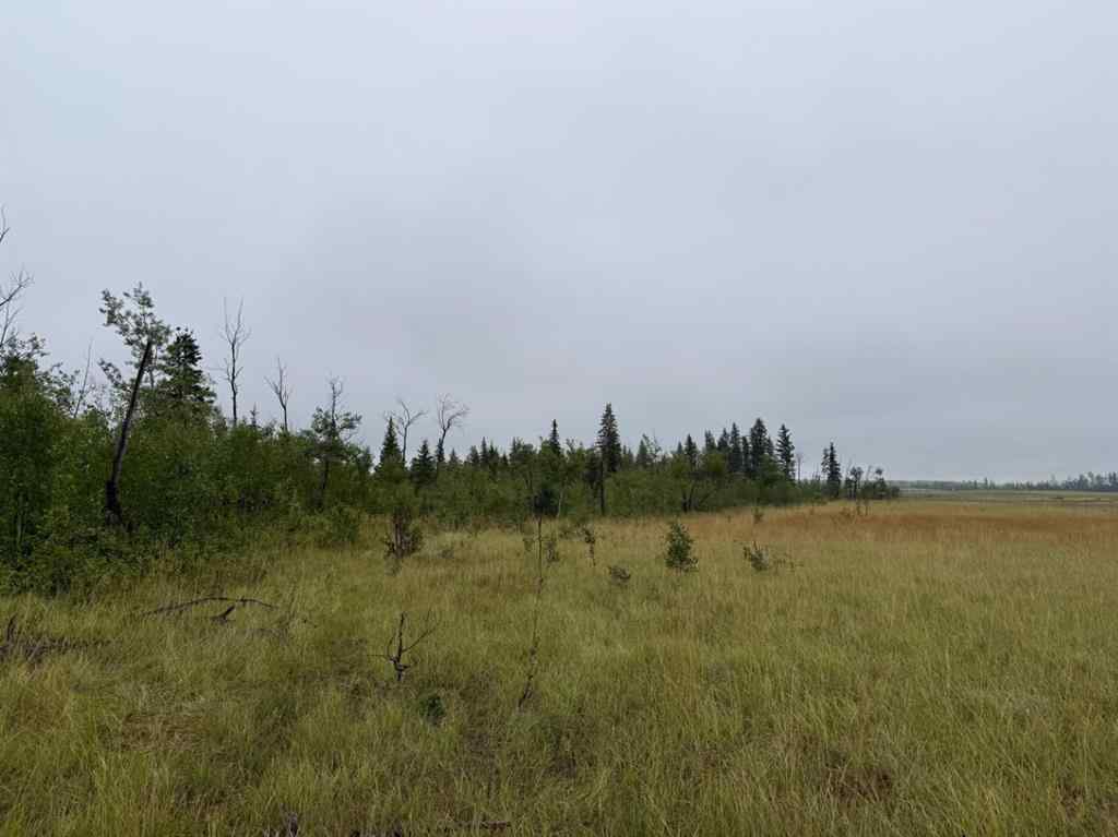MLS® A2257481 - SE 2 74 20 W5 RR Farm  in NONE Rural Smoky River No. 130, M.D. of, Agri-Business