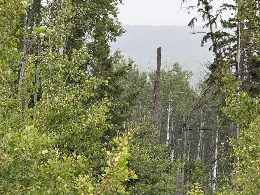 MLS® A2257481 - SE 2 74 20 W5 RR Farm  in NONE Rural Smoky River No. 130, M.D. of, Agri-Business