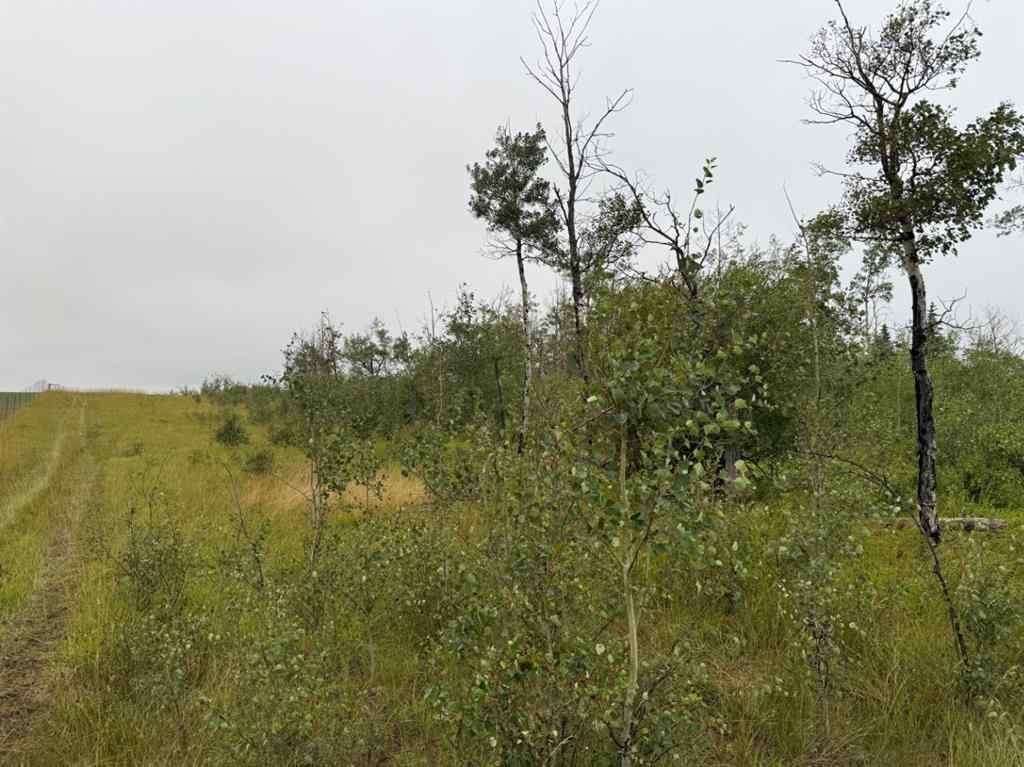 MLS® A2257481 - SE 2 74 20 W5 RR Farm  in NONE Rural Smoky River No. 130, M.D. of, Agri-Business