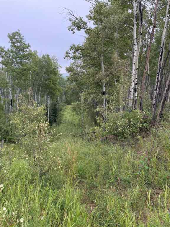 MLS® A2257481 - SE 2 74 20 W5 RR Farm  in NONE Rural Smoky River No. 130, M.D. of, Agri-Business