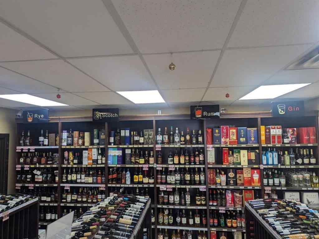 MLS® A2257495 - 123 Any Street  in Crescent Heights Calgary, Commercial