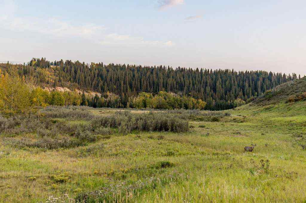 MLS® A2257685 - Unit #3R 147 Crawford Drive  in Crawford Ranch Cochrane, Residential