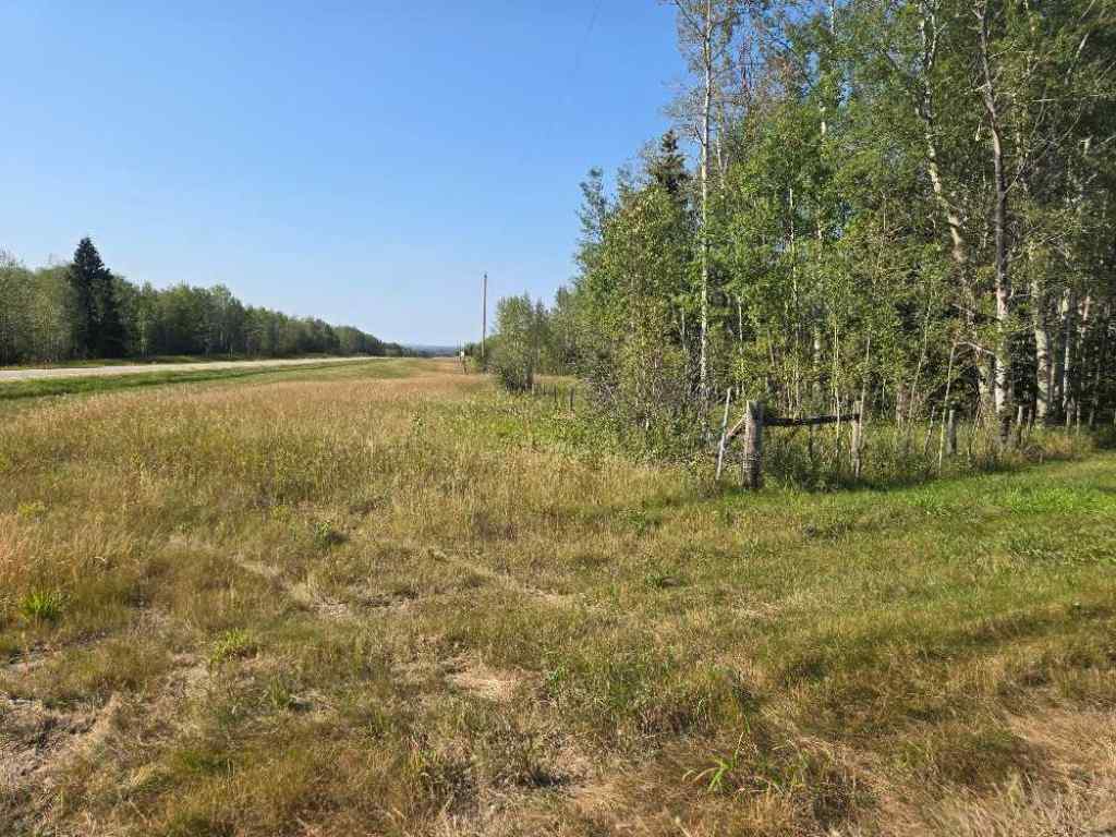 MLS® A2257694 - HWY 20 JUNCTION 13, HWY 20 Highway  in NONE Winfield, Land