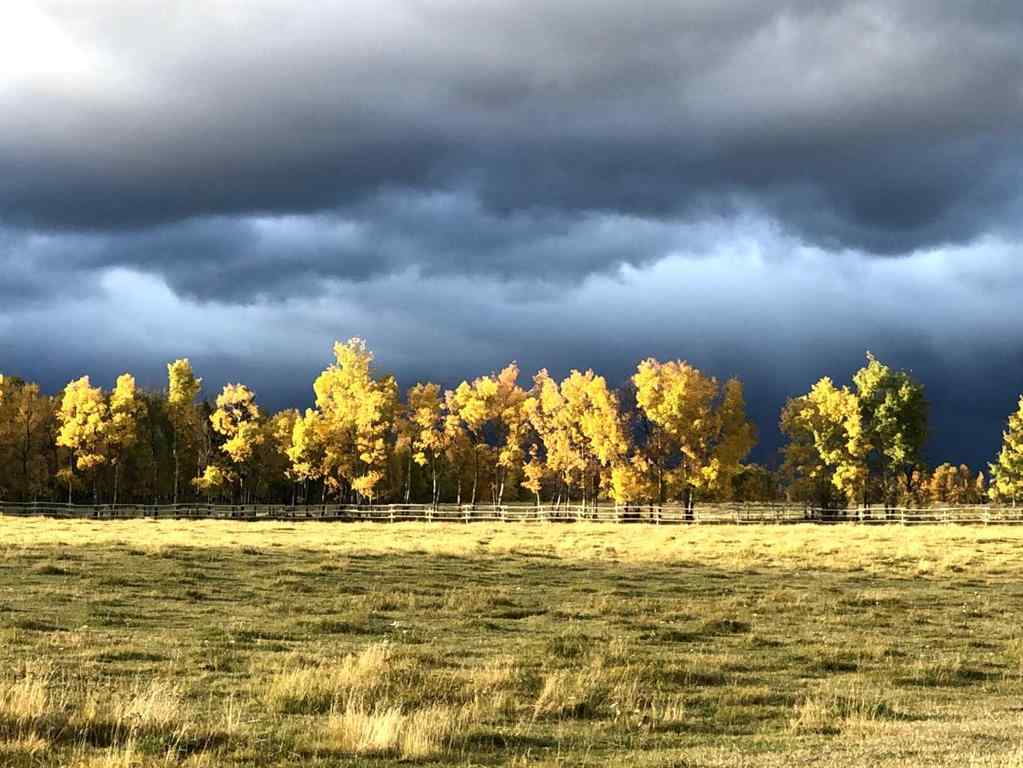MLS® A2257709 - 6029 Twp Road 33-2   in NONE Rural Mountain View County, Residential