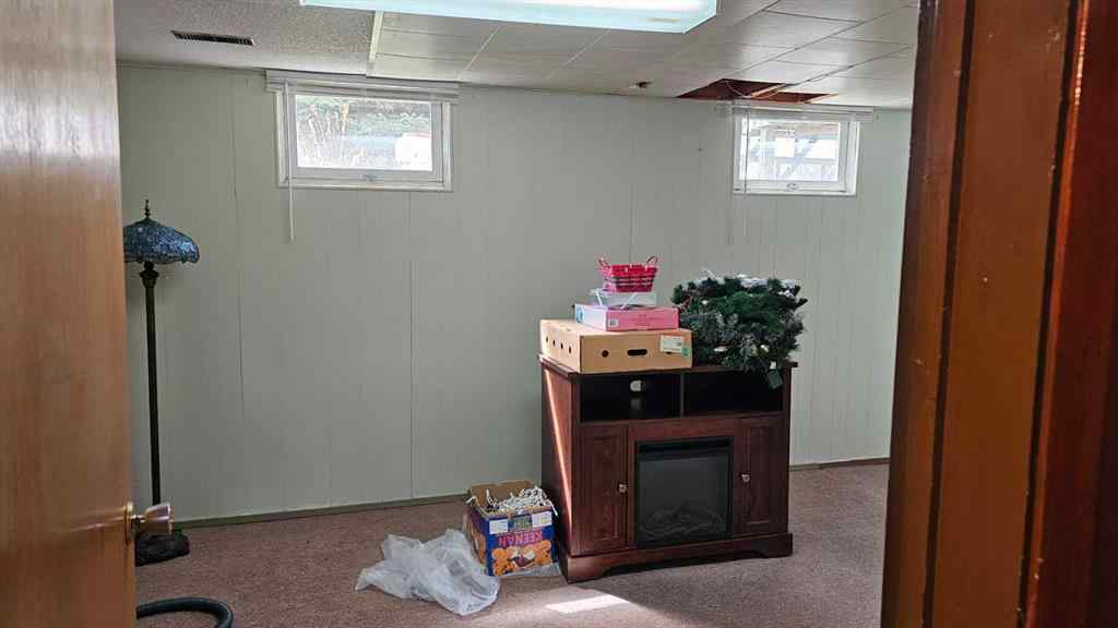 MLS® A2257810 - 4501 54 Avenue  in NONE Castor, Residential