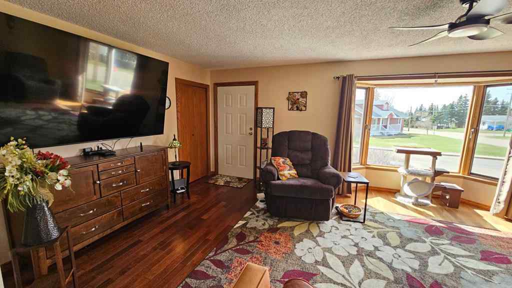 MLS® A2257810 - 4501 54 Avenue  in NONE Castor, Residential