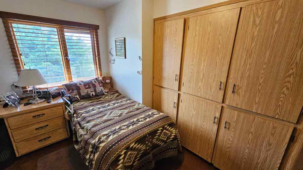 MLS® A2257810 - 4501 54 Avenue  in NONE Castor, Residential
