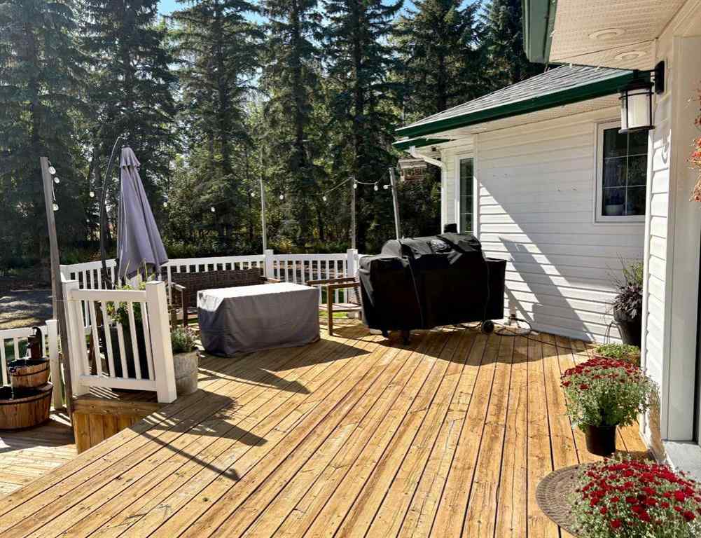 MLS® A2257830 - 51207 Range Road 102   in NONE Rural Minburn No. 27, County of, Residential