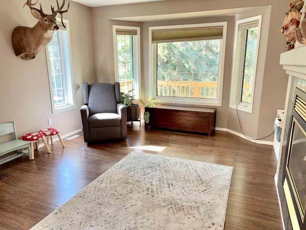 MLS® A2257830 - 51207 Range Road 102   in NONE Rural Minburn No. 27, County of, Residential