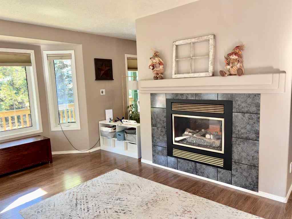 MLS® A2257830 - 51207 Range Road 102   in NONE Rural Minburn No. 27, County of, Residential