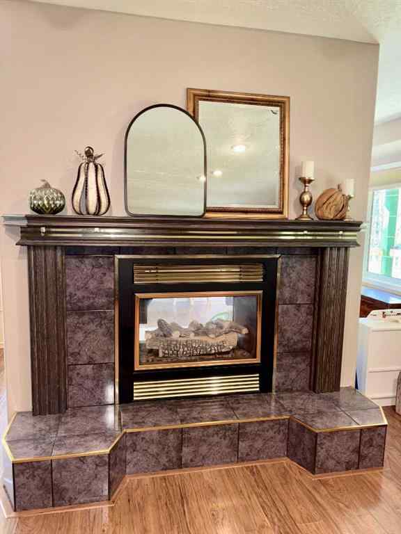 MLS® A2257830 - 51207 Range Road 102   in NONE Rural Minburn No. 27, County of, Residential