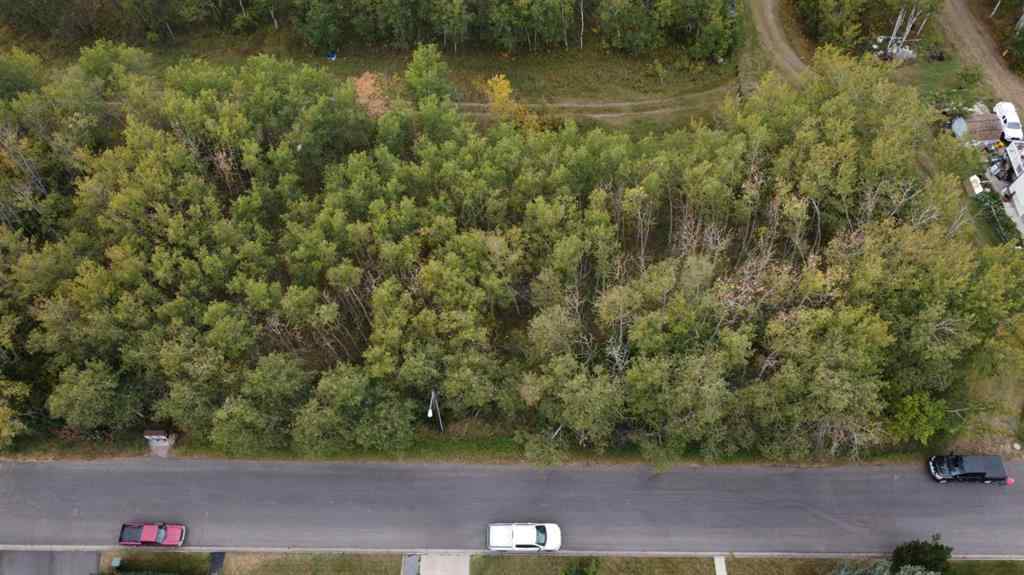 MLS® A2257843 - 5007, 5009, 5011 42B Street   in Riverside Ponoka, Land