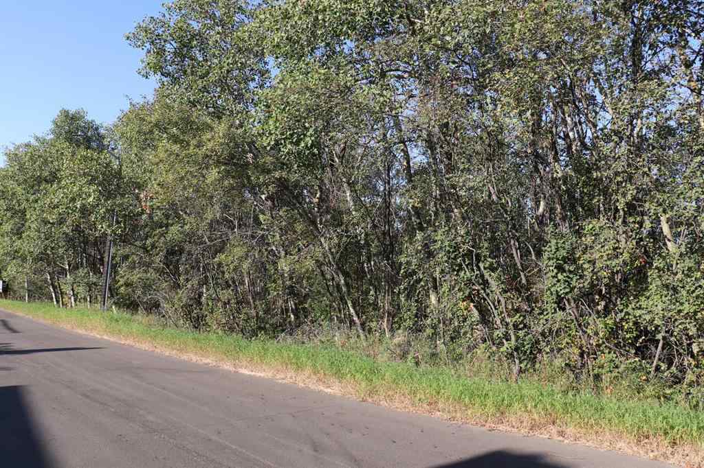 MLS® A2257843 - 5007, 5009, 5011 42B Street   in Riverside Ponoka, Land