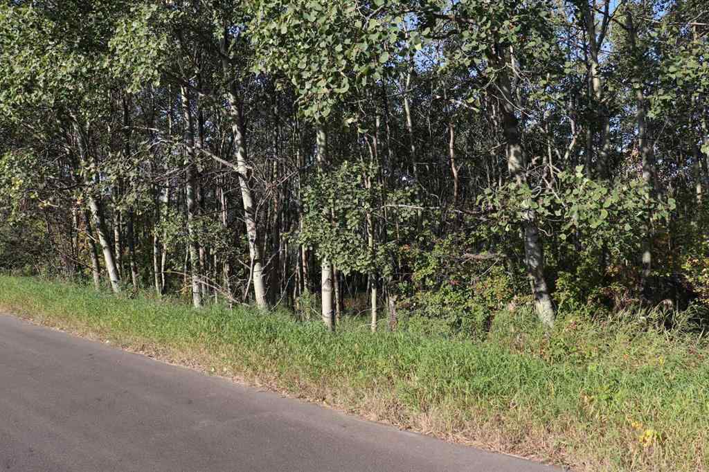 MLS® A2257843 - 5007, 5009, 5011 42B Street   in Riverside Ponoka, Land