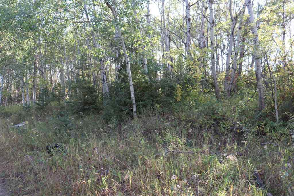 MLS® A2257843 - 5007, 5009, 5011 42B Street   in Riverside Ponoka, Land