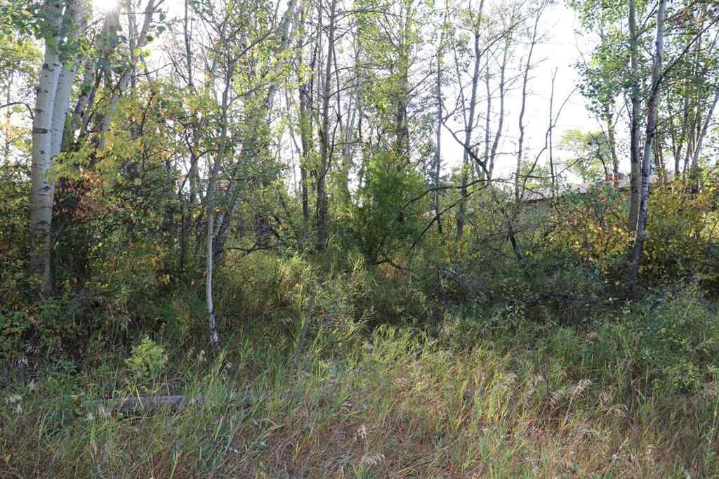 MLS® A2257843 - 5007, 5009, 5011 42B Street   in Riverside Ponoka, Land