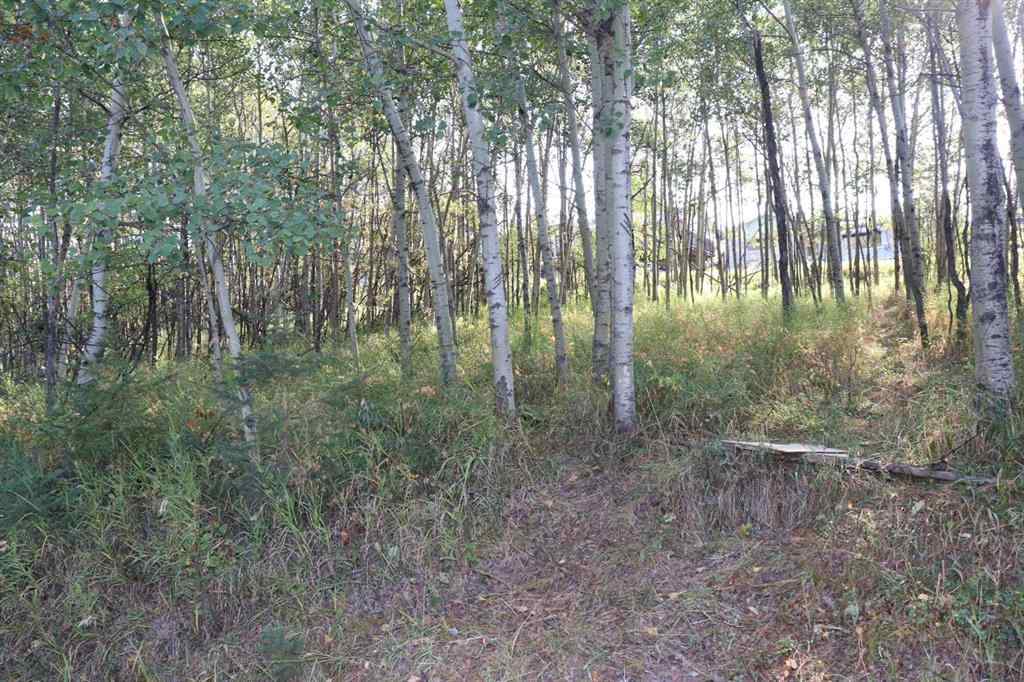 MLS® A2257843 - 5007, 5009, 5011 42B Street   in Riverside Ponoka, Land