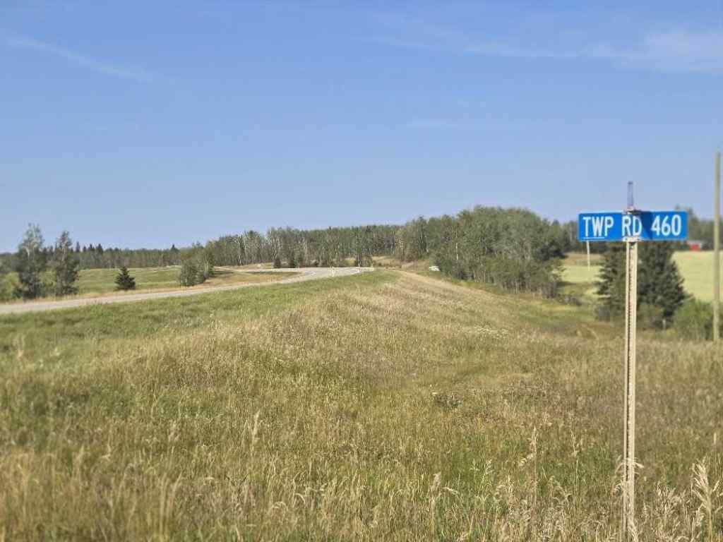MLS® A2257908 - HWY 20 TWP 460   in NONE Rural Wetaskiwin No. 10, County of, Land