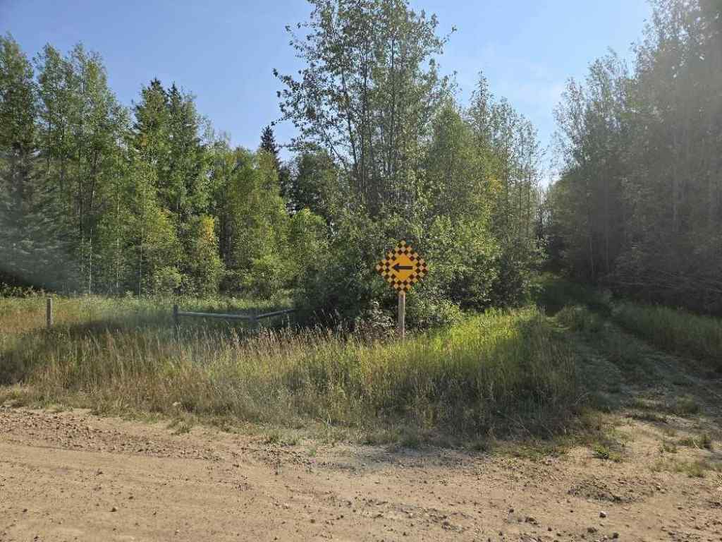 MLS® A2257908 - HWY 20 TWP 460   in NONE Rural Wetaskiwin No. 10, County of, Land