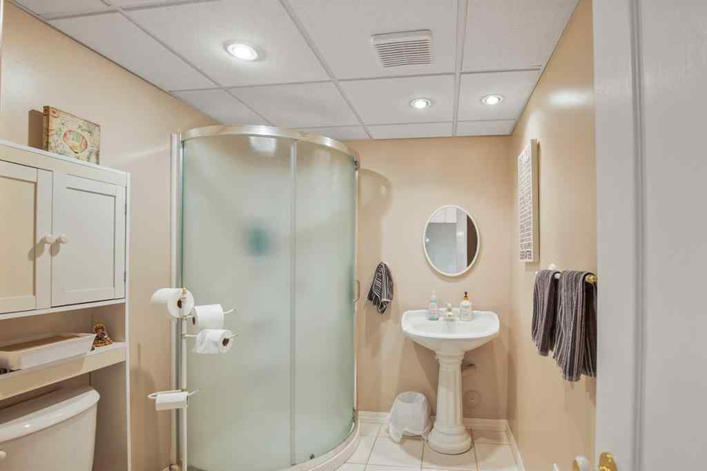 MLS® A2257927 - 3912 54th Avenue  in Southwest Innisfail Innisfail, Residential