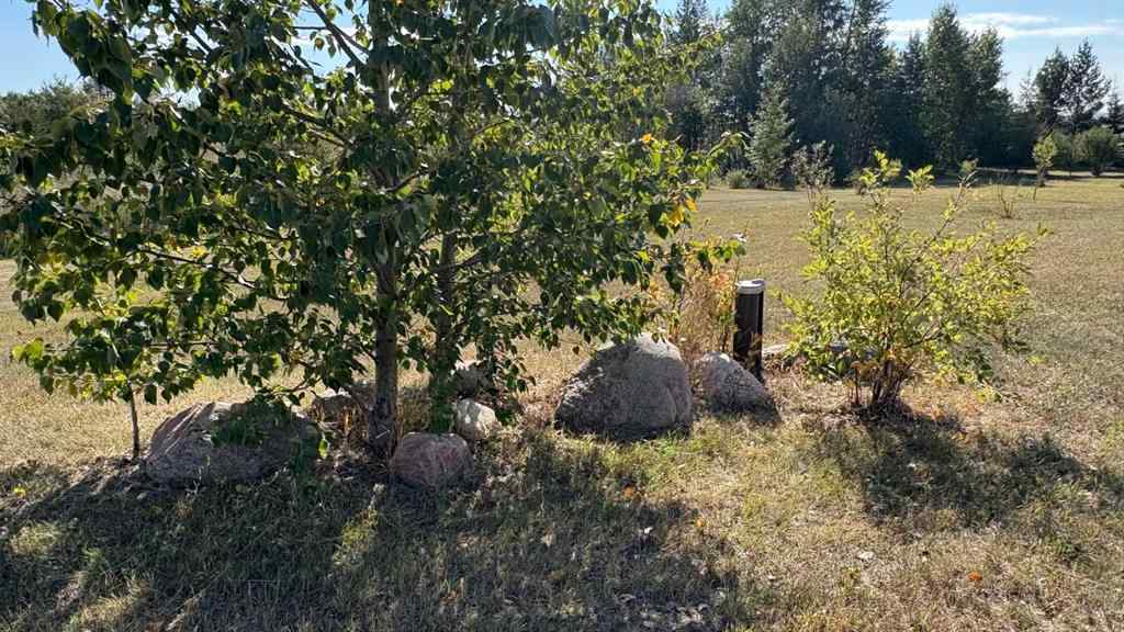 MLS® A2257949 - 445045 Rng Rd 45   in NONE Rural Wainwright No. 61, M.D. of, Residential