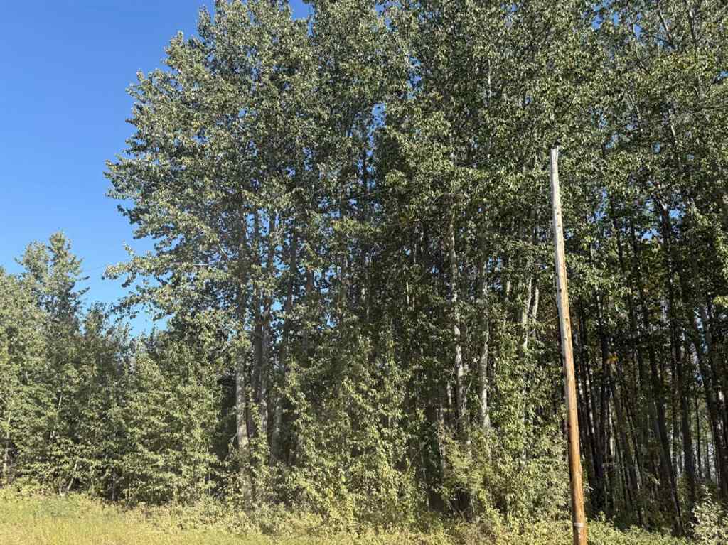 MLS® A2257953 -  ON Range Road 215   in NONE Rural Northern Lights, County of, Land