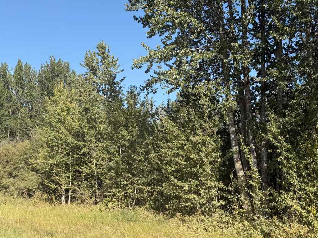 MLS® A2257953 -  ON Range Road 215   in NONE Rural Northern Lights, County of, Land