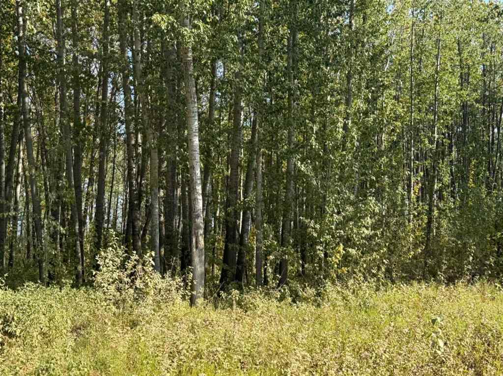 MLS® A2257953 -  ON Range Road 215   in NONE Rural Northern Lights, County of, Land