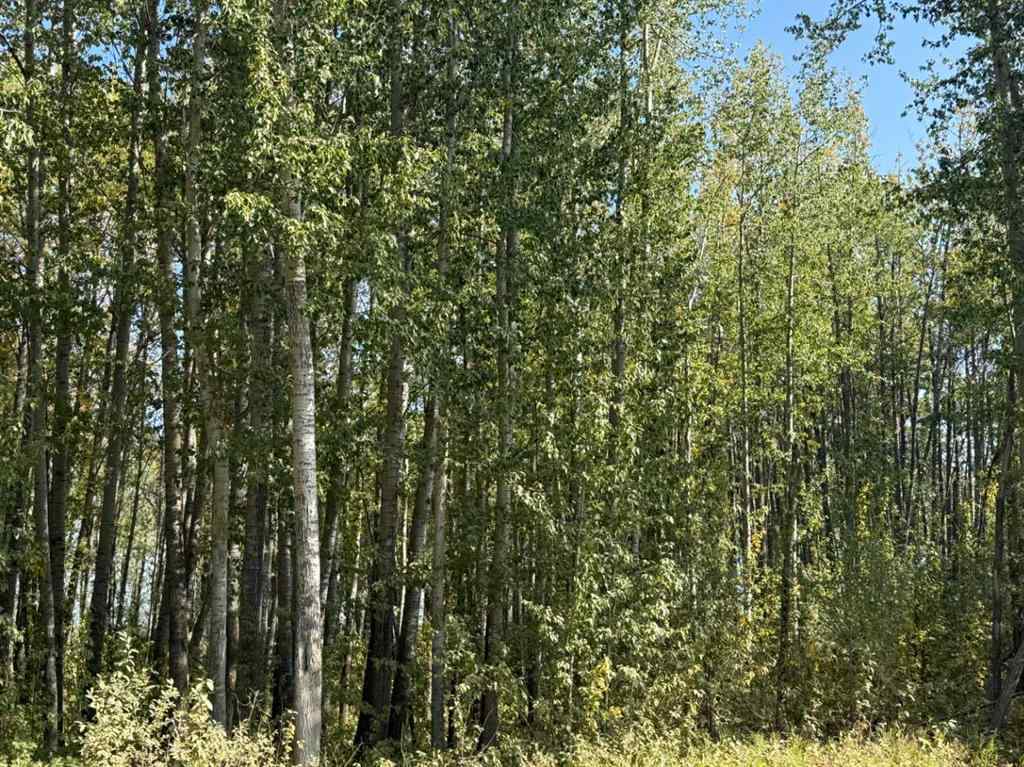 MLS® A2257953 -  ON Range Road 215   in NONE Rural Northern Lights, County of, Land