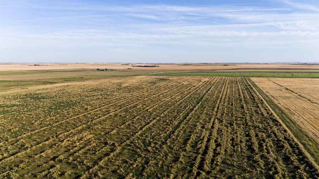 MLS® A2257959 -  Township Road 142   in NONE Rural Willow Creek No. 26, M.D. of, Agri-Business