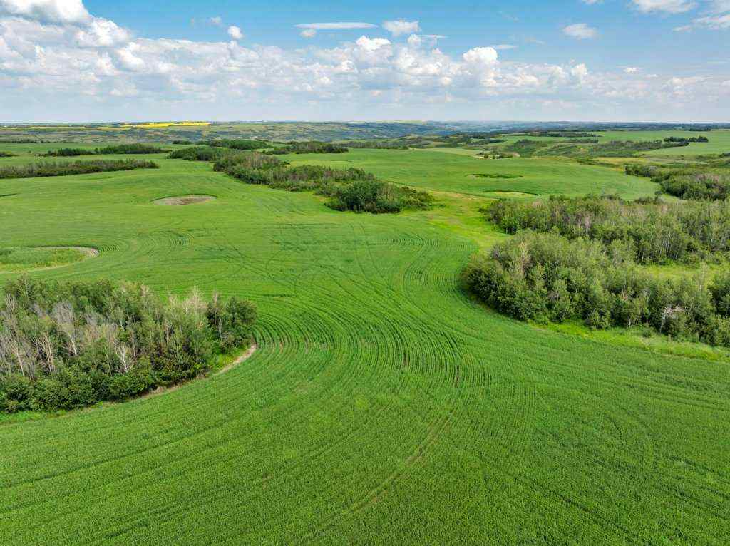 MLS® A2258004 -  4;10;39;30;SE   in NONE Rural Paintearth No. 18, County of, Land